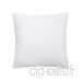 Today Coussin Déhoussable 40X40 Chantilly Polyester Blanc 40 x 40 cm - B01N8TJ1P6